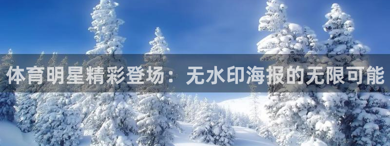 企鹅体育官网入口网页版：体育明星精彩登场：无水印海报的无限可能
