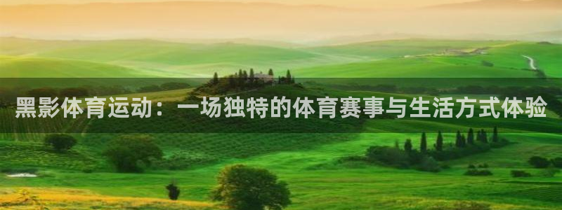 企鹅体育播放：黑影体育运动：一场独特的体育赛事与生活方式体验