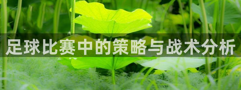 企鹅体育网页版入口：足球比赛中的策略与战术分析