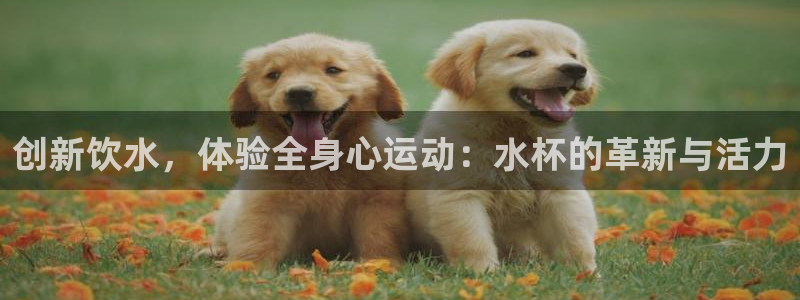 企鹅体育nba：创新饮水，体验全身心运动：水杯的革新与活力