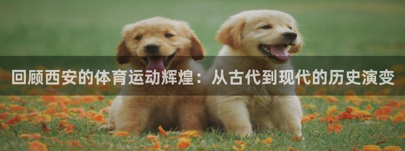 企鹅体育tv版下载：回顾西安的体育运动辉煌：从古代到现代的历史演变