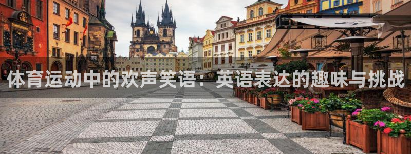 企鹅体育官网：体育运动中的欢声笑语：英语表达的趣味与挑战
