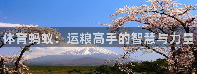 企鹅体育鹅肝：体育蚂蚁：运粮高手的智慧与力量